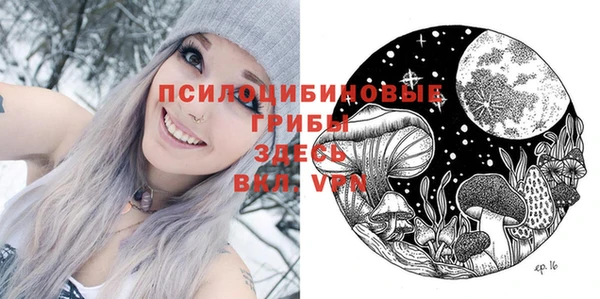 ECSTASY Зеленодольск