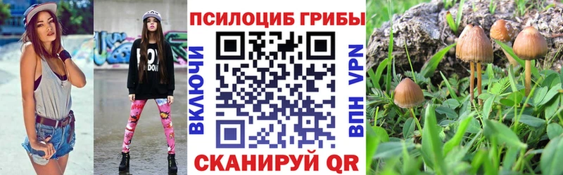 Купить  Глазов  Псилоцибиновые грибы мухоморы 